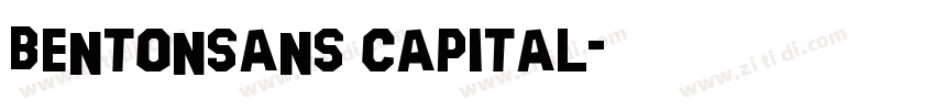 BENTONSANS CAPITAL字体转换